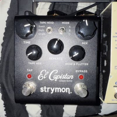 Strymon El Capistan V1 | Reverb