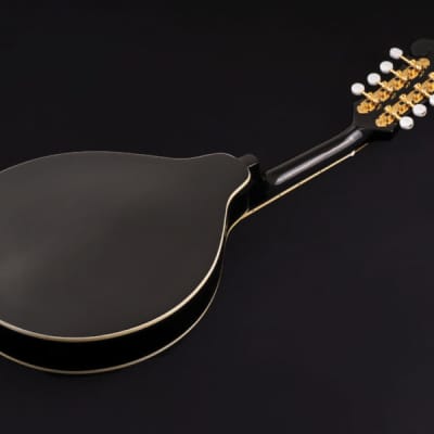 Washburn M1SDLB Bluegrass Series A-Style Mandolin. New with Full Warranty! image 6