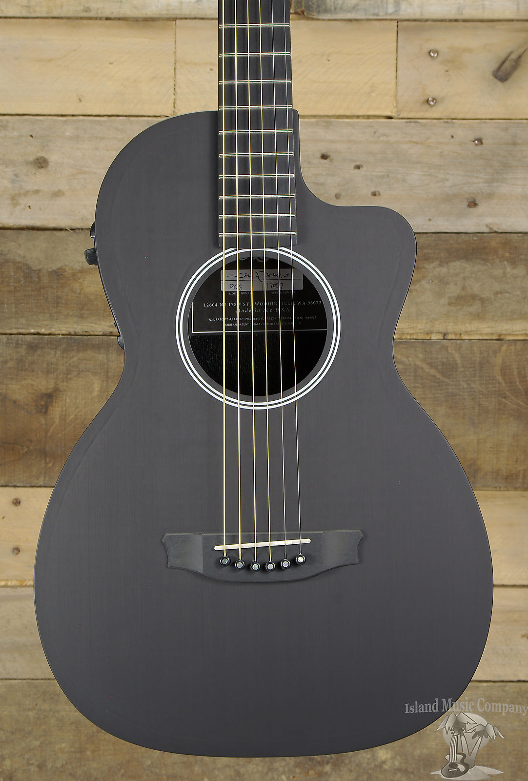 Rainsong parlor hot sale guitar for sale