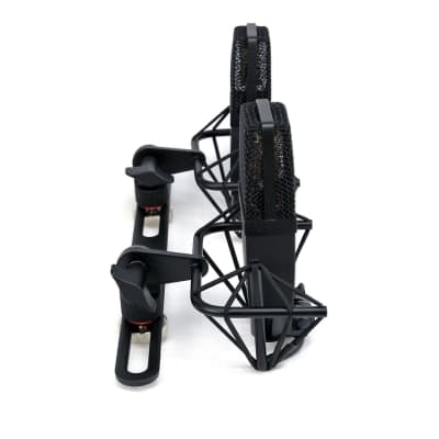 SE ELECTRONICS SE4400 PAIR Classic Hand-Crafted Studio Mics with 4 Polar Settings, Shockmount and Case image 4