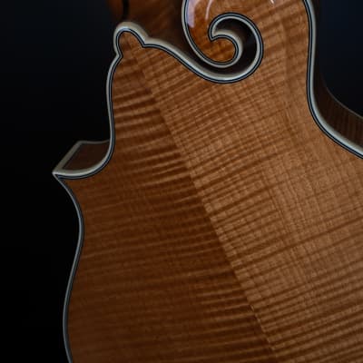 Bourgeois M5-F Aged Tone F-style mandolin Brand New image 9
