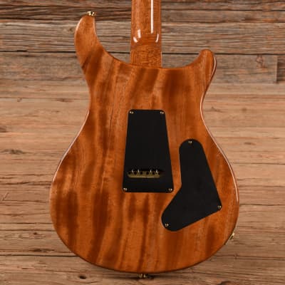 PRS Wood Library Custom 24 10-Top  2020 LEFTY image 3