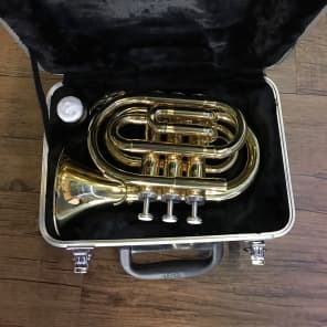 Stagg WS-TR245 Bb Student Pocket Trumpet w/ Case