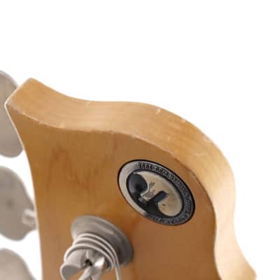 Freedom Custom Guitar Research Rhino 5st Alder (Mummy) Mod. [USED] image 11