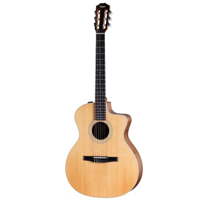 希少 Taylor Guitar テイラー エレガット 214ce N RW 希少 Taylor Guitar テイラー エレガット 214ce N RW