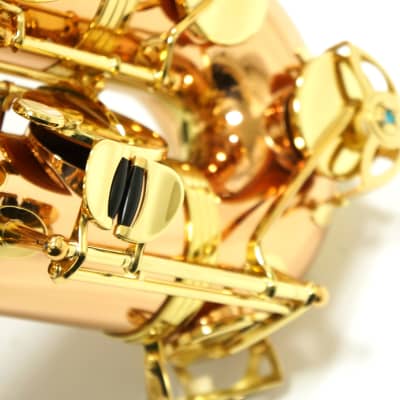 Free shipping! 【Special price】 Yanagisawa T-WO2(TWO2) Bronze Tenor Saxophone image 11