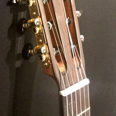 Kenny Hill New World Estudio Classical Guitar, 650mm Cedar/Indian Rosewood 2021 image 4