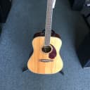 Store Demo Fender Paramount Series PM-1 Standard Dreadnought Acoustic/Electric Guitar