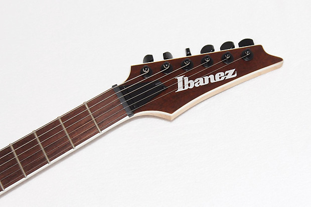 Ibanez Iron Label RG Series RGIR20BFE Fixed Bridge Electric