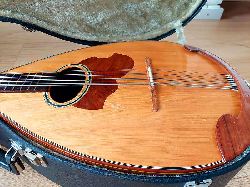 Suzuki MC-836 Mandocello / Mandoloncello | Reverb Ireland