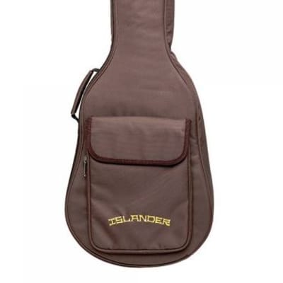 Islander MS-MG-EQ Electro-Acoustic Mini-guitar w/ Solid Sitka Spruce Top, Mahogany B&S, Gig Bag image 3