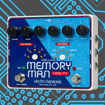 Electro-Harmonix Deluxe Memory Man 110 W/Tt image 1