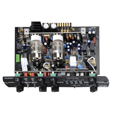 Synergy IICP 2-channel Preamp Module image 5