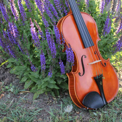 Josef Jan Dvorak バイオリン　No.220 4/4 Josef Jan Dvorak バイオリン No.220 4/4 Josef Jan Dvorak