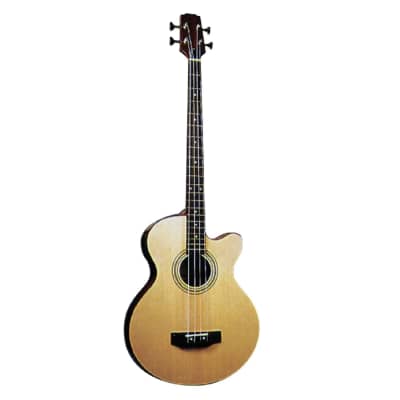 Jay Turser JTB-D100 Acoustic-Electric Bass Guitar for sale