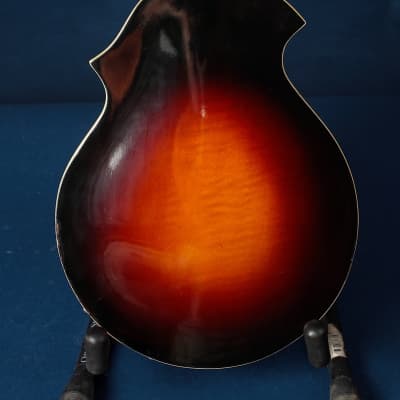 Kay 395 Electric Mandolin 1960s / Anyone for Venice? image 7
