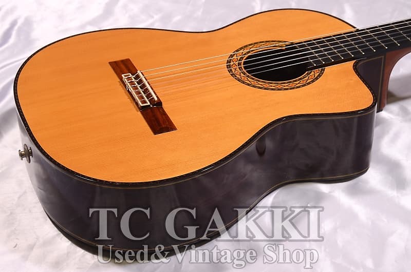 Takamine DMP316