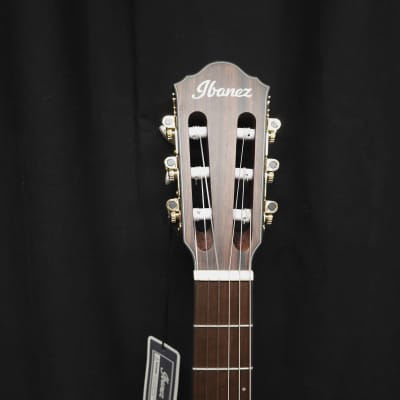Ibanez FRH10NL Nylon-String Acoustic-Electric Left-Handed Guitar w/Non-Original Gig Bag image 6
