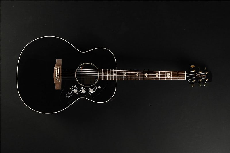 Takamine EG451DLX NEX Deluxe Acoustic/Electric - Black (013)