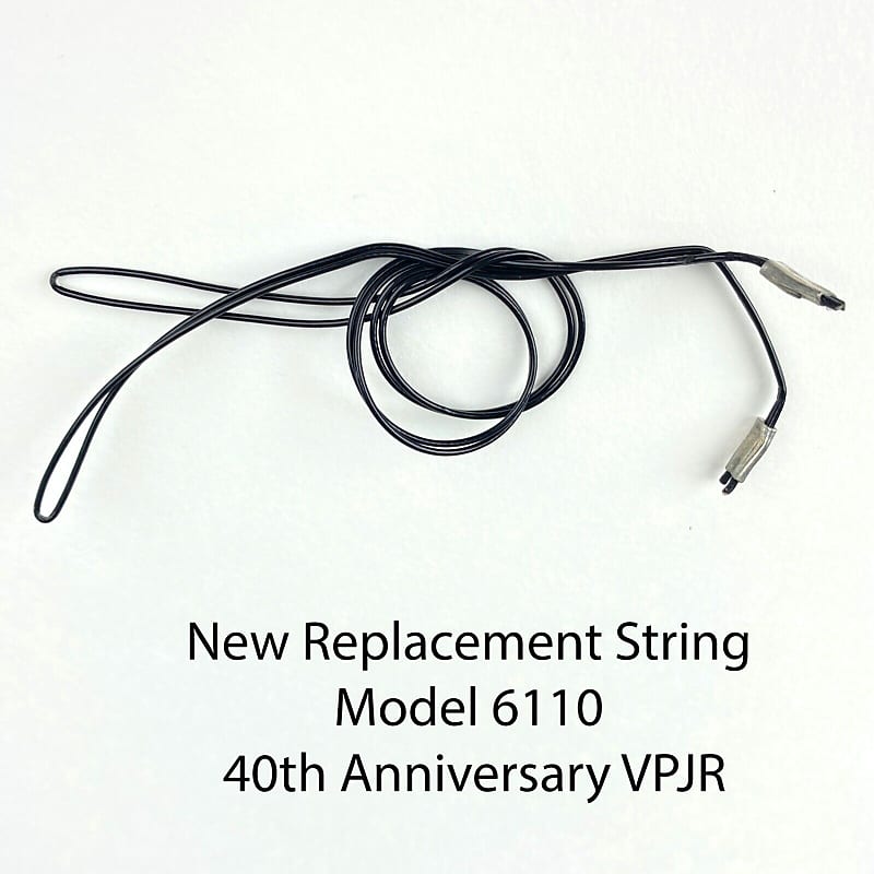 Ernie Ball Replacement String 40th Anniversary VPJR Reverb