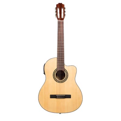 Beaver Creek 901 Series Classical Acoustic Electric Natural w/Bag BCTC901CE for sale