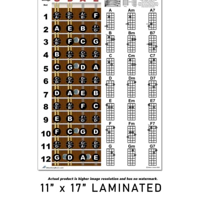 Laminated Mandolin Easy Chord Chart & Fretboard Notes Poster 