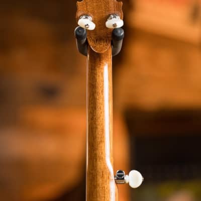 Deering Tony Trischka Silver Clipper Resonator Banjo w/Spikes Installed at 7, 8, 9, and 10 #0100 image 12