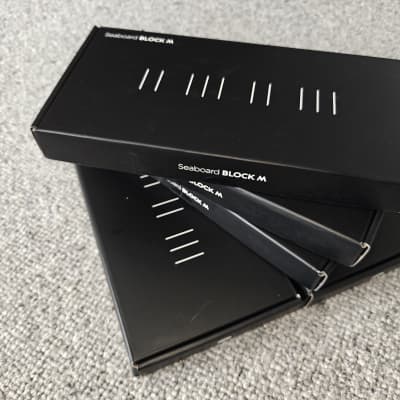 ROLI Seaboard Block M 2024 | Reverb UK