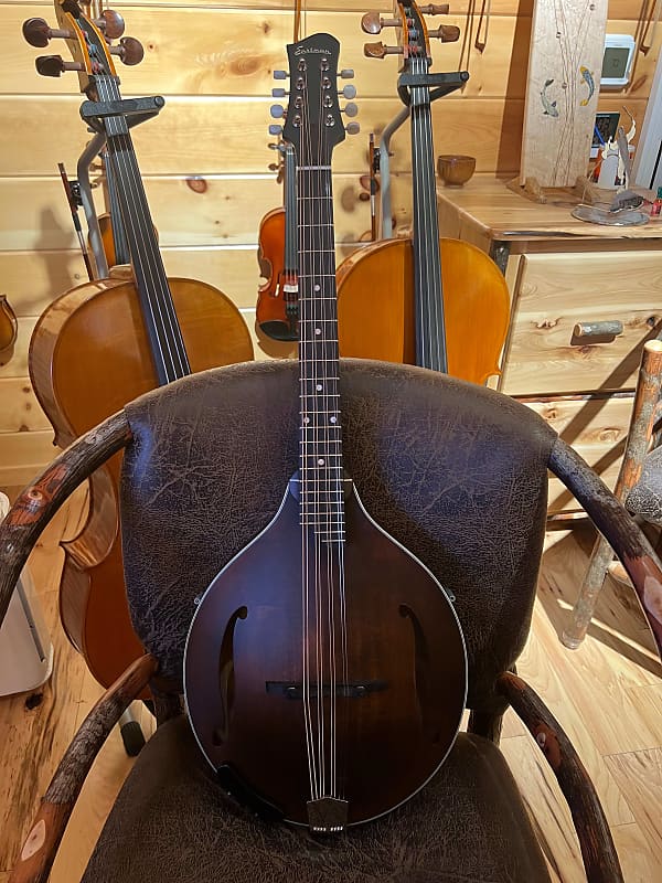 Eastman MDO305 Octave Mandolin 2022 (w) Gig Bag, New ToneGard Reverb