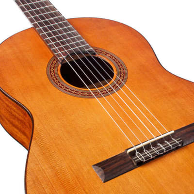 Cordoba Iberia Dolce 7/8 Size Nylon Guitar image 3
