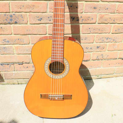 Acoustic Guitar Angelica 2851 Made In Japan 1970s *VIDEO* image 1