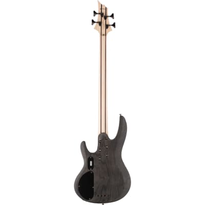 ESP LTD B-204SM B Series Bass Guitar, Spalted Maple Top, See Thru Black Satin image 6
