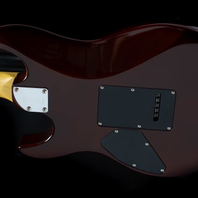 FGN Guitars J Standard Odyssey Imbuia Top on Ash body - Imbuia Brown Sunburst (IBS) image 3