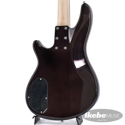 SCHECTER JOL-CT-B-4 (STBK) | Reverb