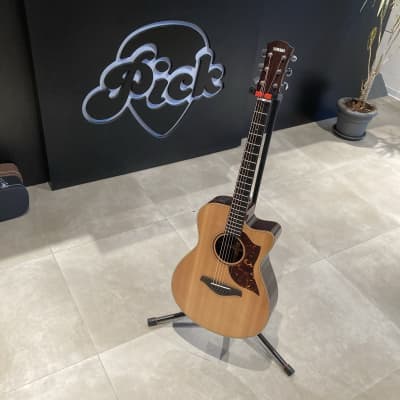 希少❗K.Yairi YD73 Catalog - K Yairi Guitars