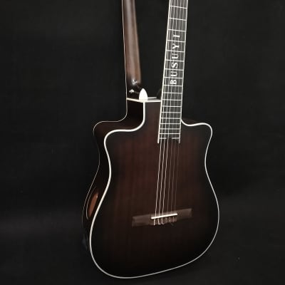 6 Strings Classical/ 6 Strings Acoustic Double Neck, Double Sided Busuyi Guitar NPS66 2020. image 1