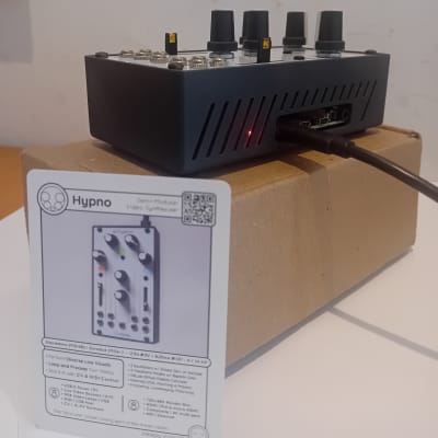 その他 Sleepy Circuits Hypno (pi4) Sleepy Circuits Hypno (w/ Pi4) Video Synth assembled (2024