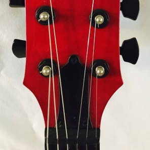 Custom Built 335 Style, Solid Maple Top, Mahogany Body, Gibson Red - Made in USA image 2