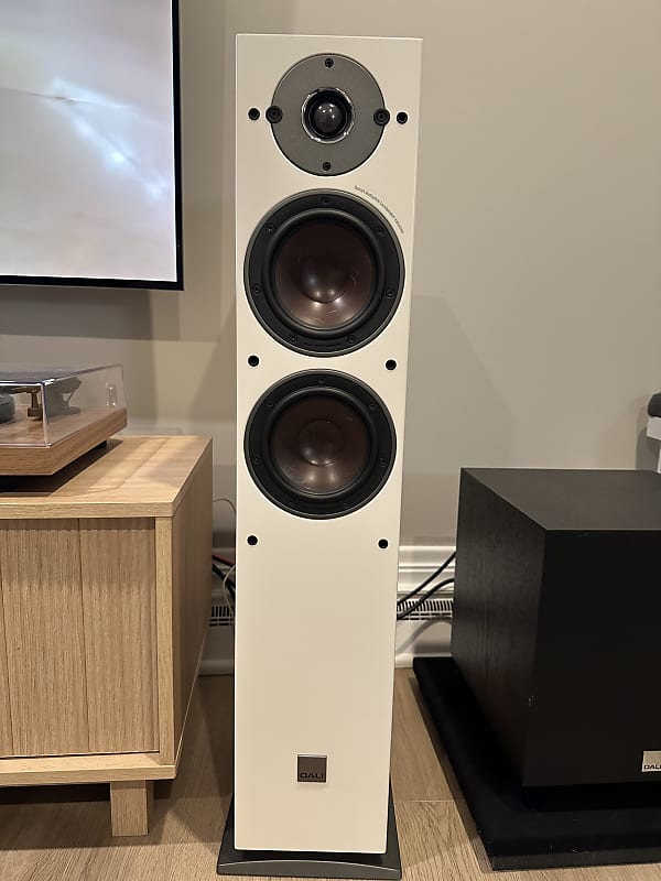 Dali Oberon Review DALI OBERON 5 Light Oak Floorstanding