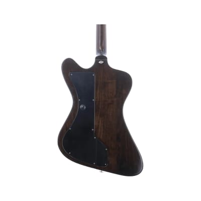 Gibson Firebird II Artist image 5