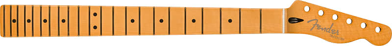Fender Player Plus Telecaster® Neck, 12" Radius, 22 Medium Jumbo Frets, Maple Fingerboard 0997332921 image 1