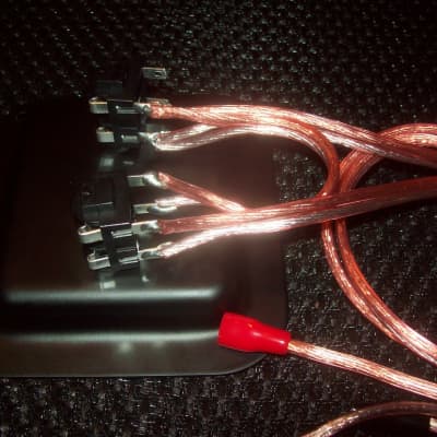 EarCandy 2x12 guitar amp speaker cab series wiring harness W P-out, jack plate hardware no soldering image 2