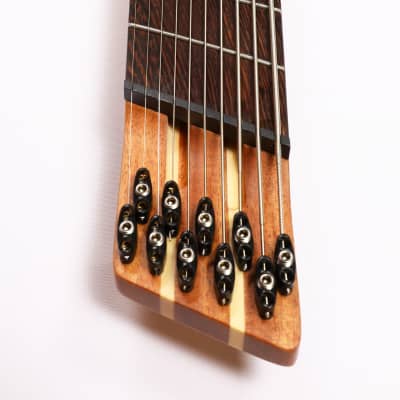 Agile 10 String Fan Fret Guitar w/ stainless frets & Fishman