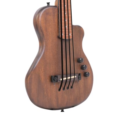 Gold Tone ME-BassFL: 23-Inch Scale Fretless Electric MicroBass with Gig Bag image 12
