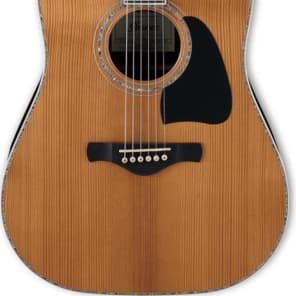 Ibanez store avd80 nt