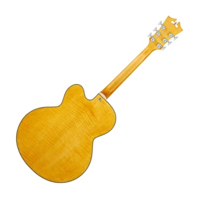 D'Angelico DAPEXL1SHBT Premier EXL-1 Series Hollowbody Electric Guitar, Satin Honey Blonde image 2