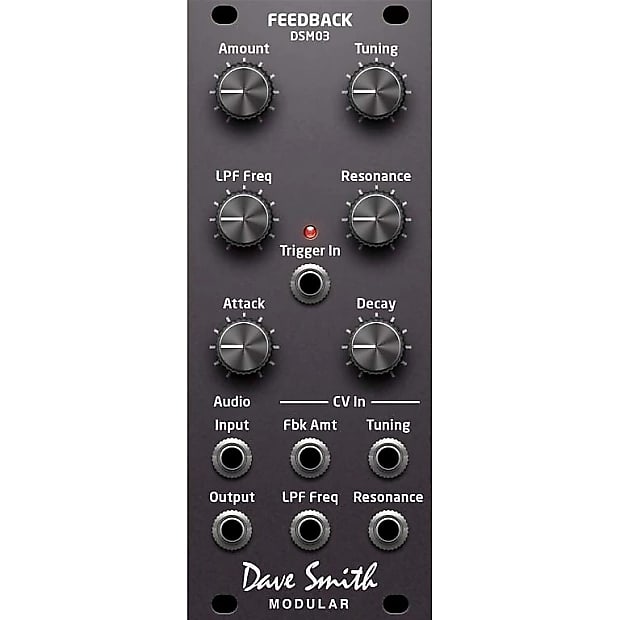 Dave Smith Instruments DSM03 Feedback Module image 1