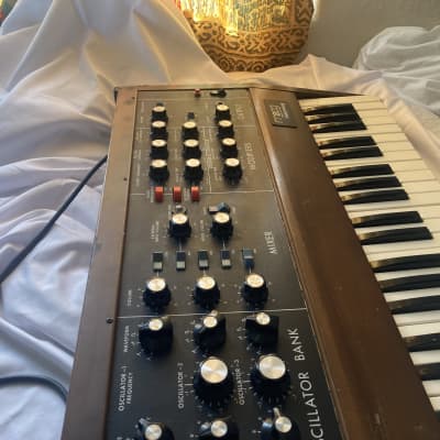 Minimoog Model D Mid- 1970s - Wood / maple image 7