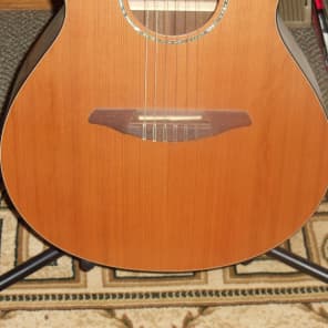 Breedlove AN 250 / CR  Natural image 5