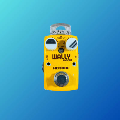 Hotone Skyline Wally Looper | Reverb